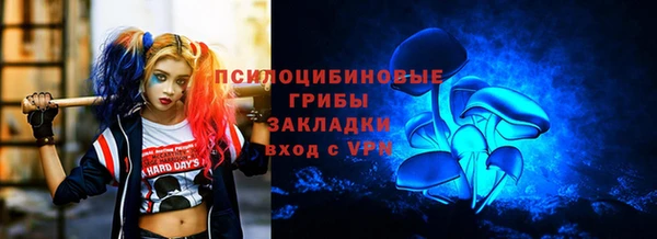 2c-b Михайловка