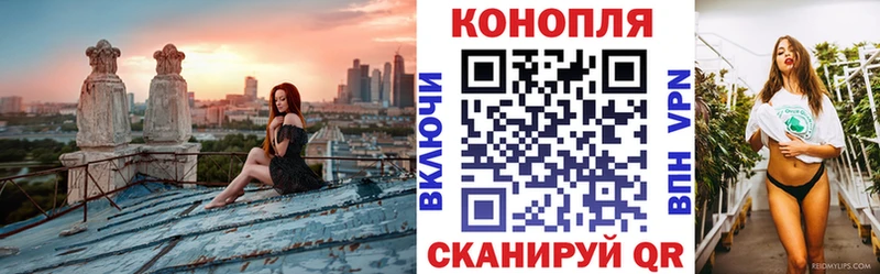 купить наркотики сайты  Староминская  Бошки Шишки ГИДРОПОН 